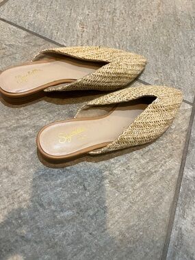 Seychelles Natural Woven Pointed Mule in Straw